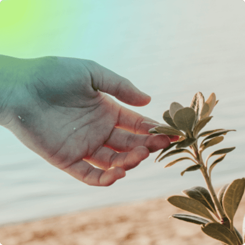 Delta Insurance Delta Insurance